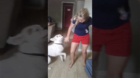 woman fucked by dog|Hot babe cannot stop fucking her horny and hung dog